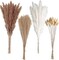 100 PCS Small Boho Pampas Grass, 17" Naturally Dried Pompas, Pampas Grass Decor for Wedding , Boho Party Decorations, Table Decor(Brown and White)